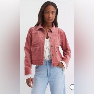 LOFT Brushed Corduroy Shirt Jacket